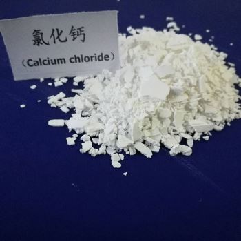 片狀春水堂污污下载网站