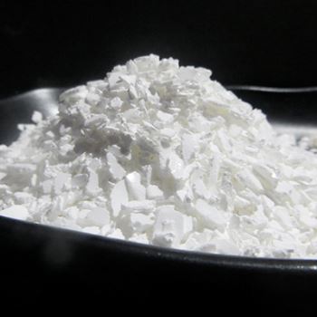 春水堂污污下载网站