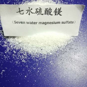 山東七水春水堂视频黄APP